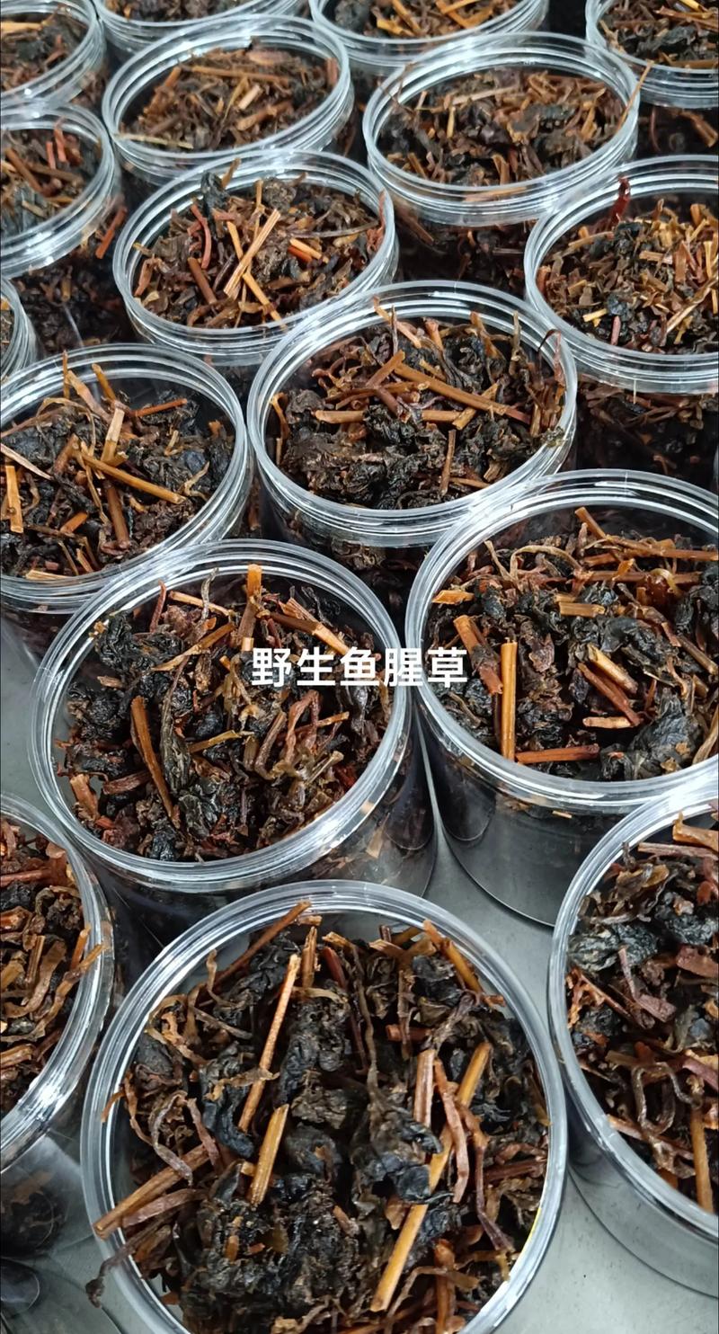 传统工艺的传承与革新：土屋坊的故事