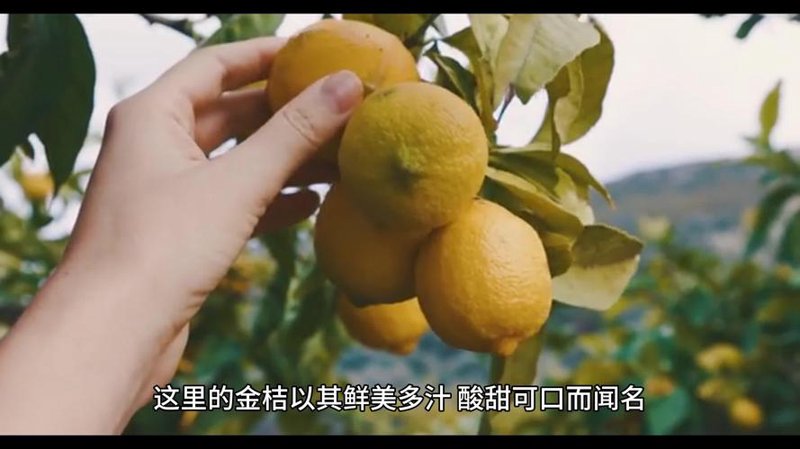 浏阳农产品：乡村振兴的绿色风景线