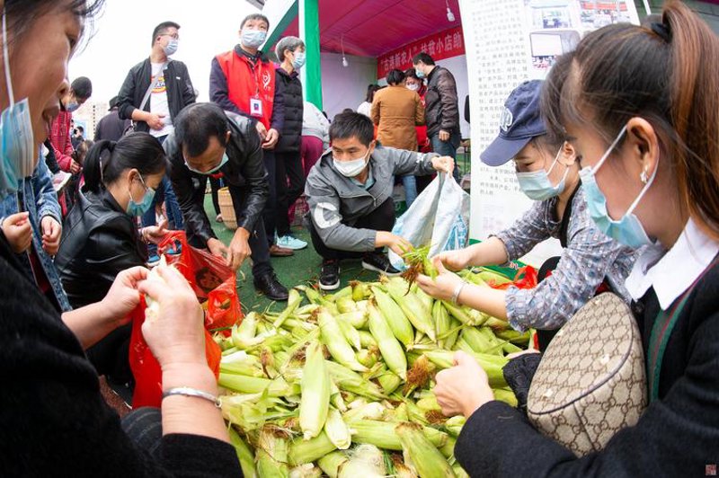 浏阳特产：自然与文化的精华